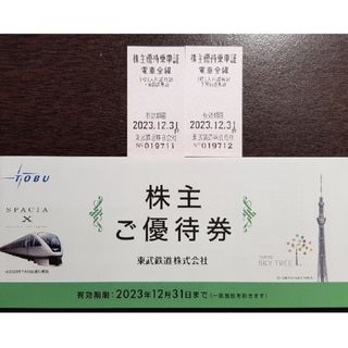 東武鉄道 株主優待 乗車券2枚+冊子(鉄道乗車券)