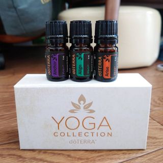 ドテラ(doTERRA)の使用あり　doTERRA ヨガコレクション(エッセンシャルオイル（精油）)