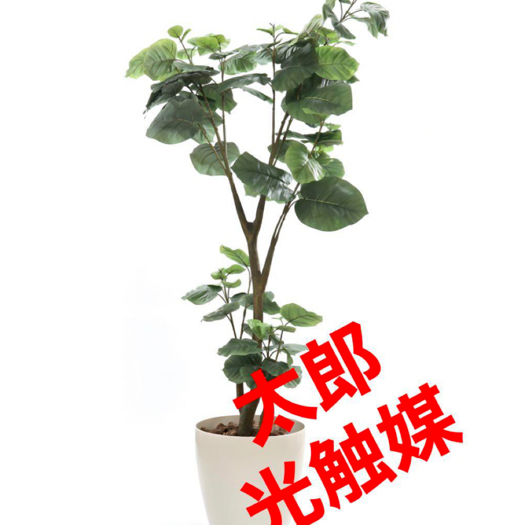 正月光触媒　人工観葉植物　ウォールグリーン　フェイクグリーン　ウンベラータ180