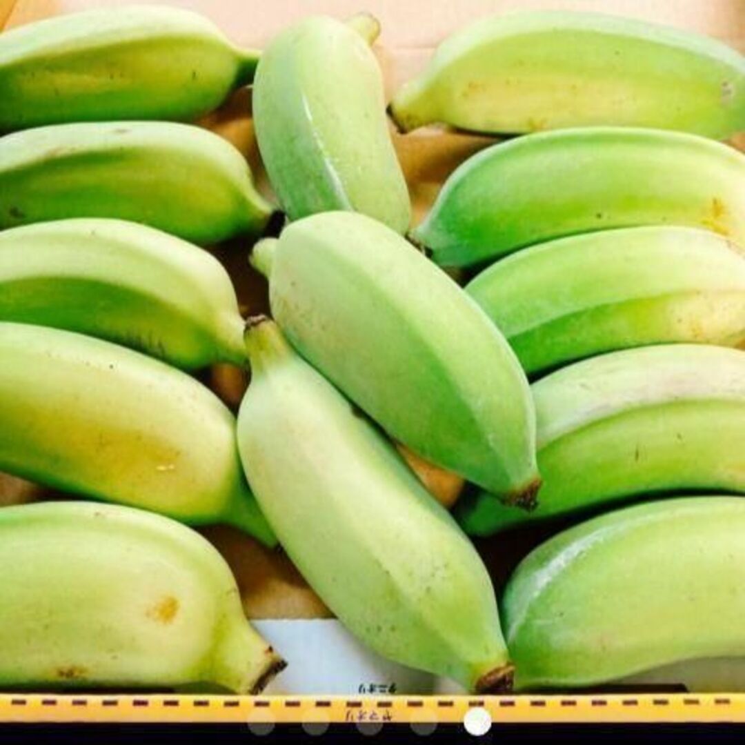 沖縄最高峰！やんばる産　バナナの王様！キングオブ「ナムワバナナ」 食品/飲料/酒の食品(フルーツ)の商品写真