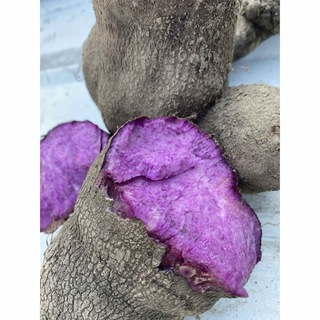 紫山芋　３キロ(野菜)