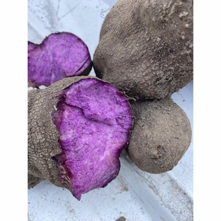 紫山芋　１０キロ(野菜)