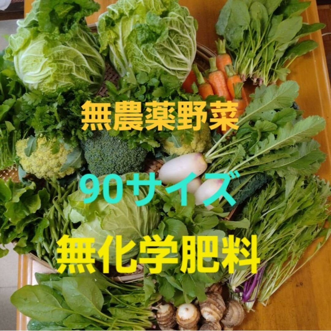 無農薬野菜　90サイズ 食品/飲料/酒の食品(野菜)の商品写真