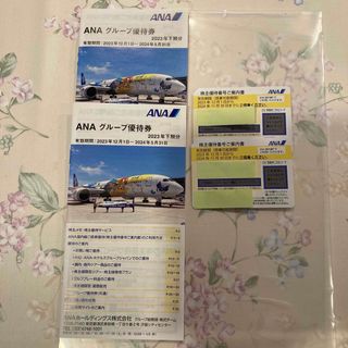 エーエヌエー(ゼンニッポンクウユ)(ANA(全日本空輸))のANA株主優待券2枚　グループ優待券2冊(その他)