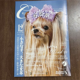 【最新号】ドッグファッション雑誌 Cuun クーン2023,12月号(専門誌)