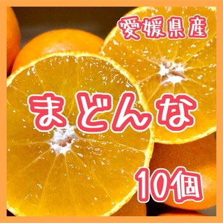 まどんな10個セット ②（紅まどんな同品種）愛媛県産 柑橘 愛果28号 果物(フルーツ)