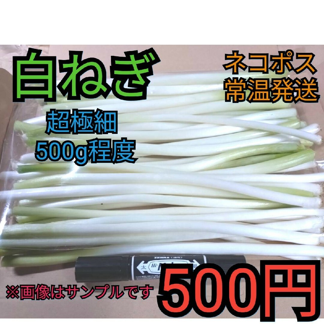 ※ワンコイン※常温ネコポス発送白ネギ（極細）500g程度 食品/飲料/酒の食品(野菜)の商品写真