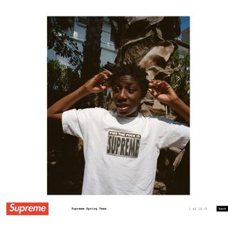 シュプリーム(Supreme)の19ss supreme tシャツ　whothefuckis レッド　XL(Tシャツ/カットソー(半袖/袖なし))