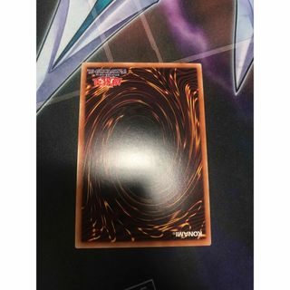 遊戯王 - ブラックマジシャンガール20thワンオーナー品、状態良好