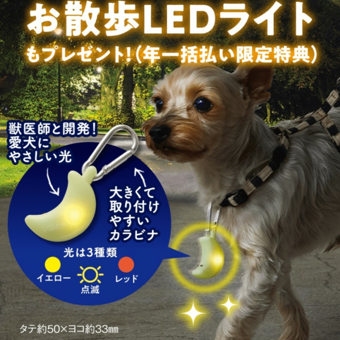 Benesse(ベネッセ)の★お月さま型 お散歩LEDライト★ その他のペット用品(犬)の商品写真