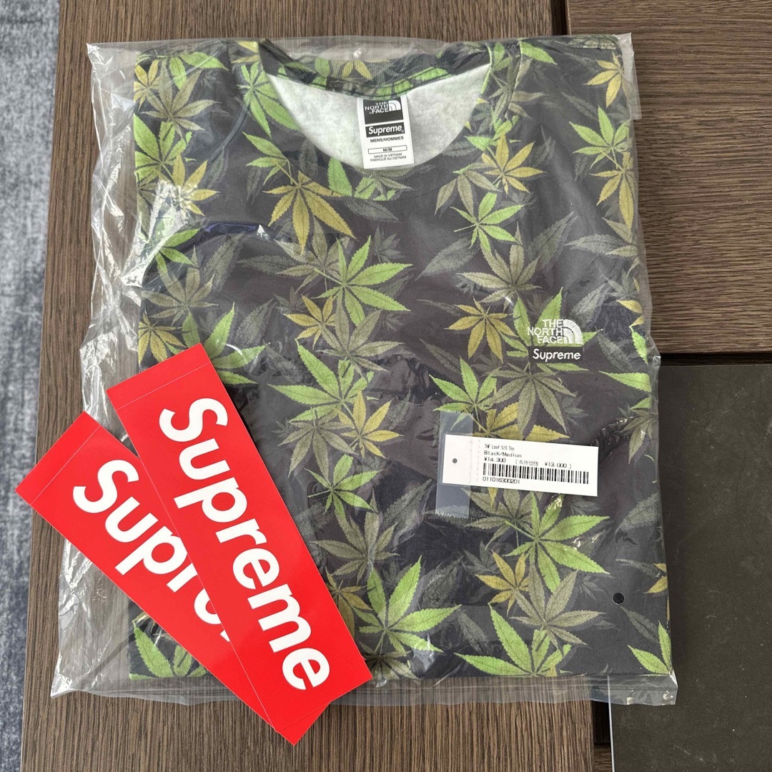 メンズSupreme/The North Face Leaf S/S Top Mサイズ