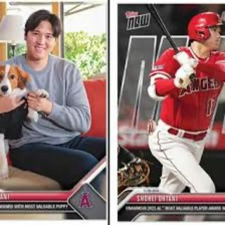 2種 各10枚 topps now 大谷翔平 デコピントレーディングカード(記念品/関連グッズ)