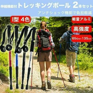 トレッキング ポール 2本セット 黒I型 ノルディック ポール 登山 15ZA(登山用品)