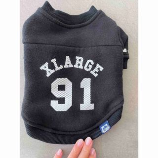 エクストララージ(XLARGE)のXLARGE 犬服 裏起毛トレーナー S 美品(犬)