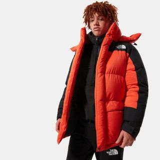 ザノースフェイス(THE NORTH FACE)のTHE NORTH FACE HMLYN DOWN PARKA ヒマラヤンパーカ(ダウンジャケット)