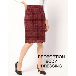 プロポーションボディドレッシング(PROPORTION BODY DRESSING)のPROPORTION BODY DRESSINGチェックフロッキーレーススカート(ひざ丈スカート)