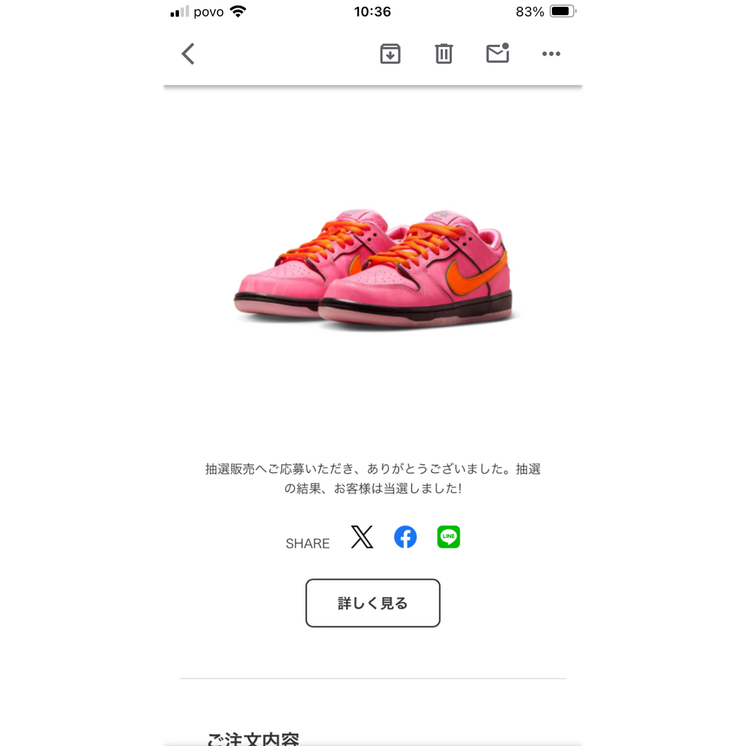 NIKE(ナイキ)のパワーパフガールズ × ナイキ SB ダンク ロー プロ QS "ブロッサム" メンズの靴/シューズ(スニーカー)の商品写真