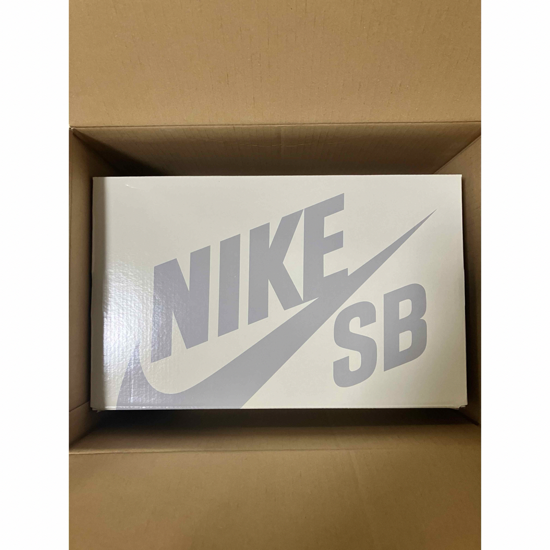 NIKE(ナイキ)のパワーパフガールズ × ナイキ SB ダンク ロー プロ QS "ブロッサム" メンズの靴/シューズ(スニーカー)の商品写真