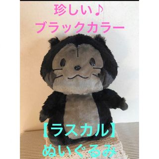 ★珍しい♪ブラックカラー【ラスカル】ぬいぐるみ★(ぬいぐるみ)