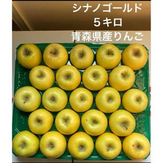⑤シナノゴールド5キロ　小玉　青森県産りんご(フルーツ)