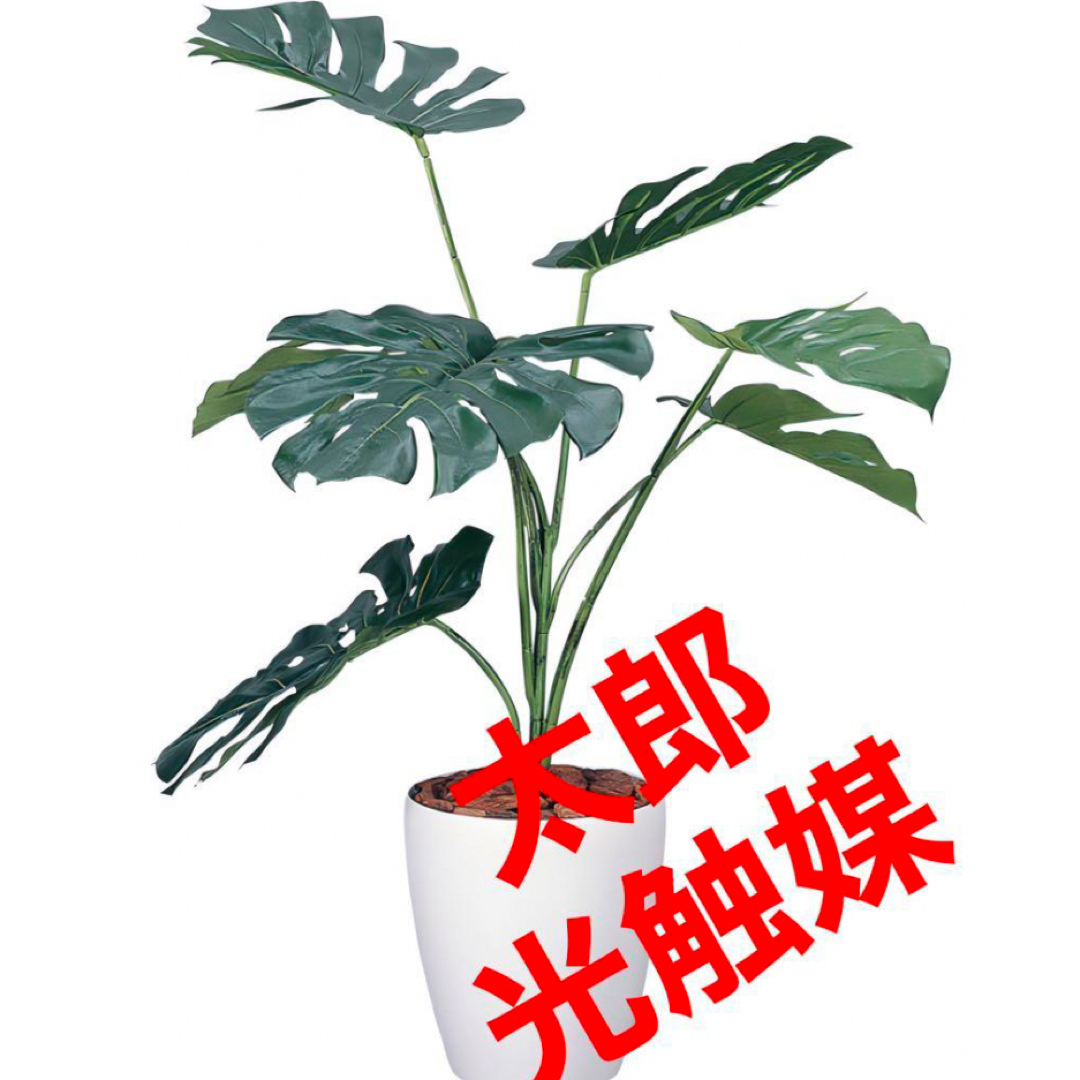光触媒 人工観葉植物 ウォールグリーン フェイクグリーン 光触媒 人工観葉植物 ウォールグリーン フェイクグリーン