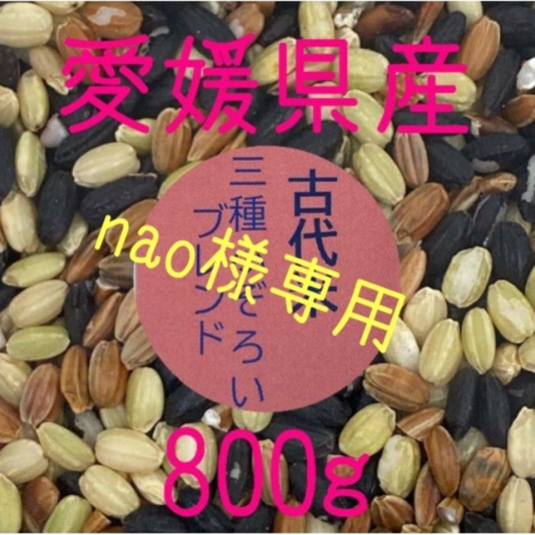 nao様専用　古代米3種ふぞろいブレンド　愛媛県産　800ｇ 食品/飲料/酒の食品(米/穀物)の商品写真