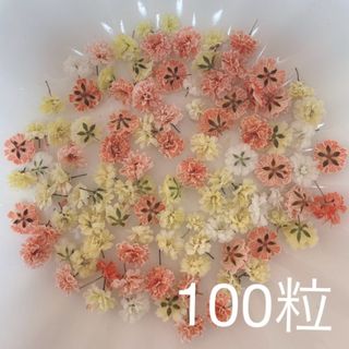 オレンジ系 かすみ草ドライフラワー100粒(ドライフラワー)