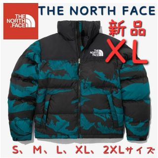 ザノースフェイス(THE NORTH FACE)のカモブルーTHE NORTH FACEノースフェイス 新品 ダウンジャケットXL(ダウンジャケット)