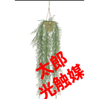 光触媒　人工観葉植物　ウォールグリーン　フェイクグリーン　ウイローグラスハンガー(壁掛けミラー)
