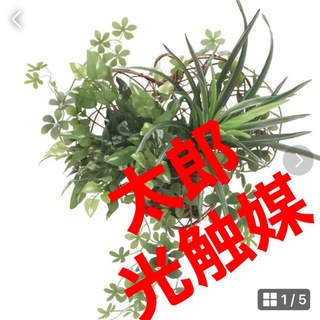 光触媒　人工観葉植物　ウォールグリーン　フェイクグリーン　壁掛けミックスグリーン(壁掛けミラー)