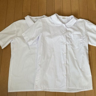 丸襟　半袖シャツ　M　2枚セット(シャツ/ブラウス(半袖/袖なし))