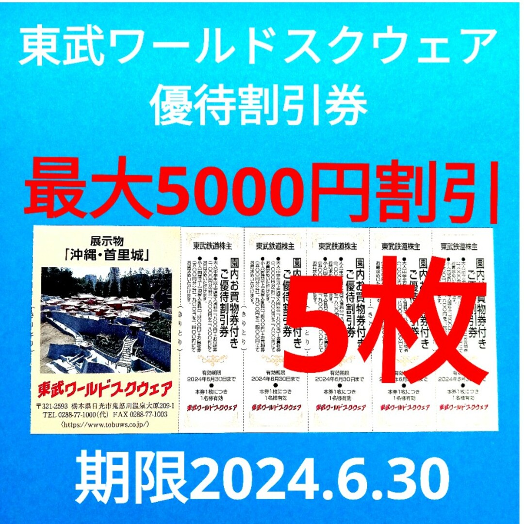 【5枚】東武ワールドスクウェア割引券5枚 チケットの施設利用券(遊園地/テーマパーク)の商品写真