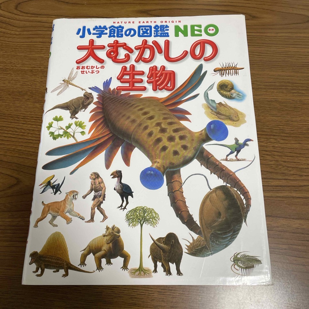 小学館(ショウガクカン)の図鑑NEO  恐竜図鑑【3冊セット】 エンタメ/ホビーの本(ノンフィクション/教養)の商品写真