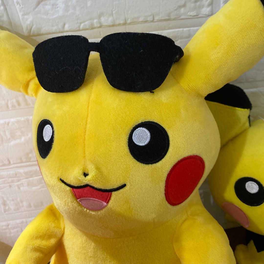 ポケモン ピカチュウ ピチュー モルペコ ヒトカゲ マリル ぬいぐるみ