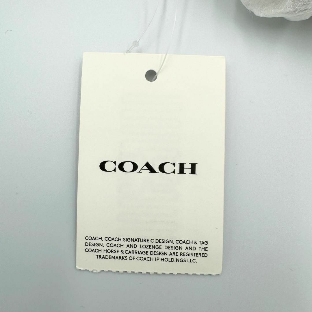 COACH(コーチ)のDISNEY x COACH 50周年コラボ ショルダー＆斜め掛けバッグ レディースのバッグ(メッセンジャーバッグ)の商品写真