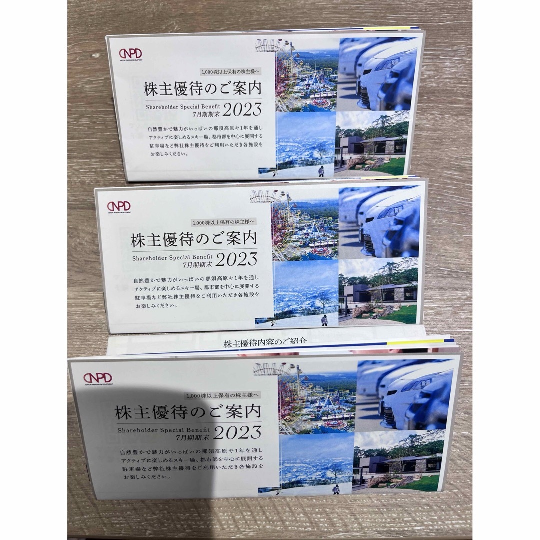 日本駐車場開発　株主優待冊子　3冊分 チケットの施設利用券(スキー場)の商品写真