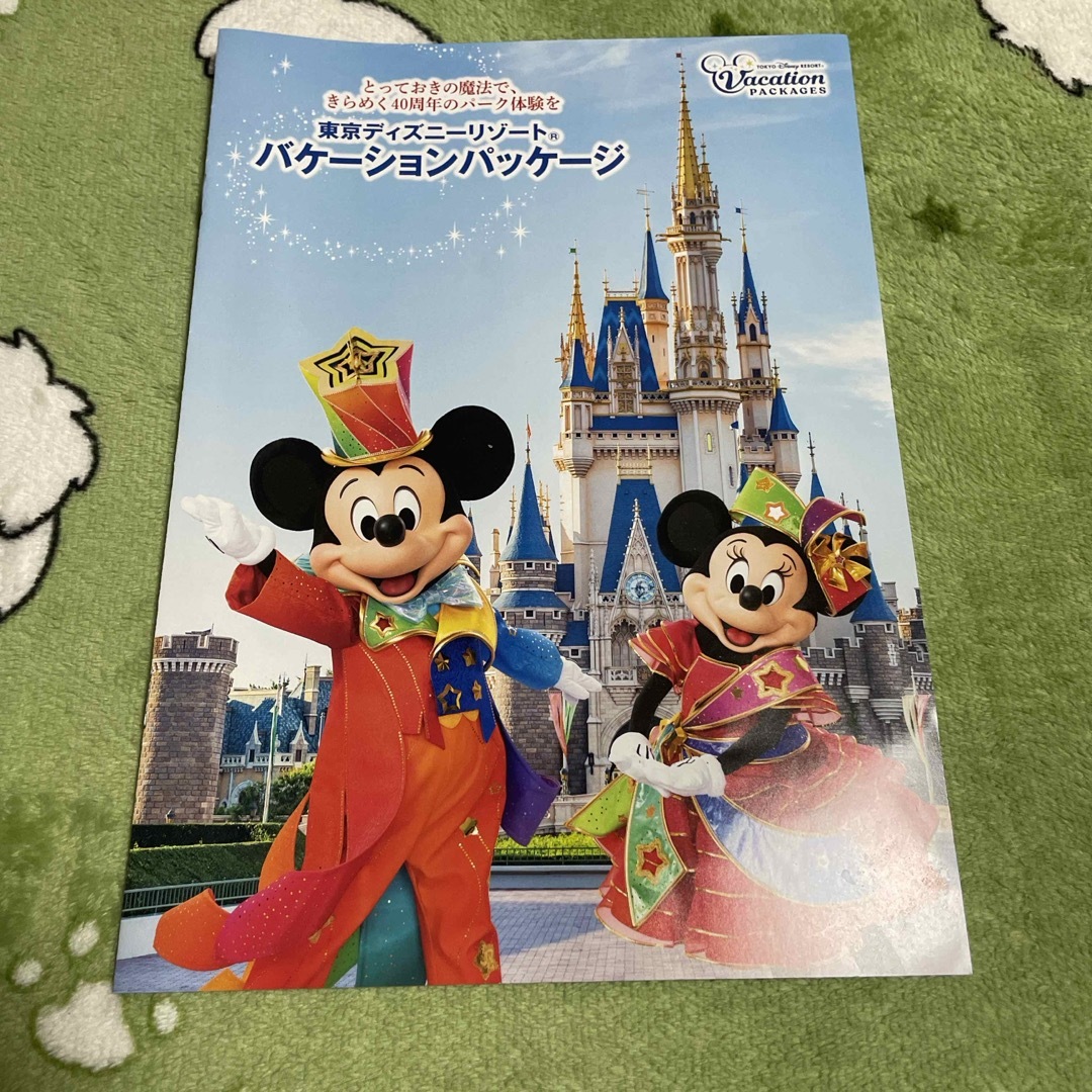 Disney(ディズニー)のファンダフル ディズニー 会報 エンタメ/ホビーの雑誌(趣味/スポーツ)の商品写真