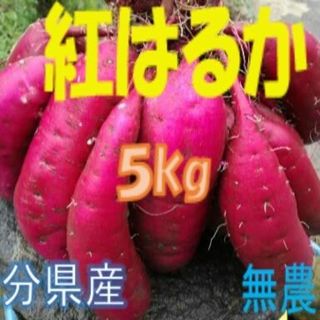 大分県産 紅はるか Mサイズ 5kg(野菜)