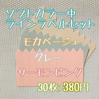 ラインラベル 中 肌/茶/灰 各 10枚 カラー 多肉植物 エケベリア (プランター)