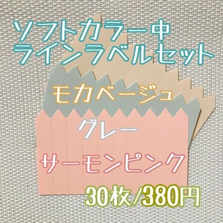 ラインラベル 中 肌/茶/灰 各 10枚 カラー 多肉植物 エケベリア (プランター)