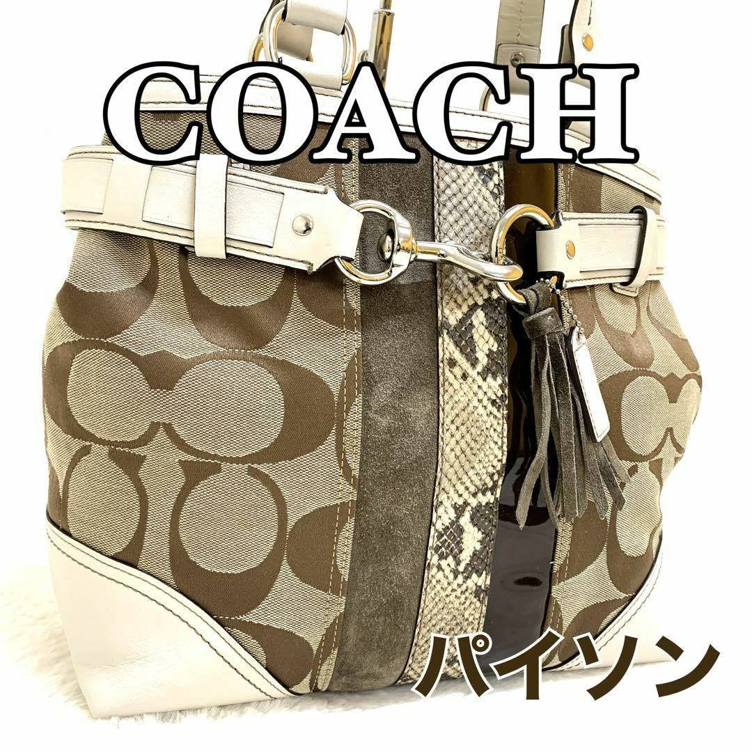 【超美品】COACH コーチ シグネチャー ハンドバッグ パイソン YK22ハンドバッグ