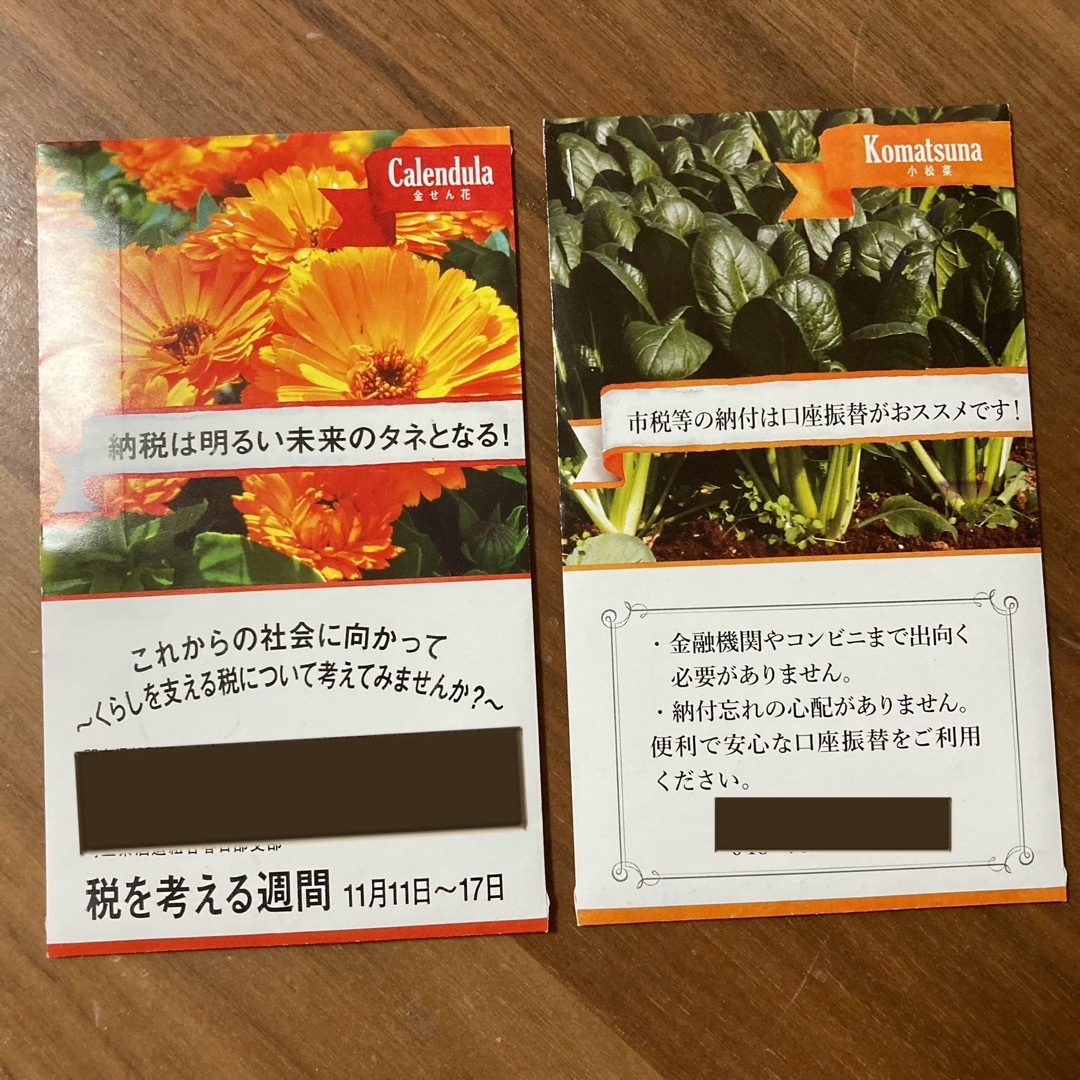 種　金せん花　小松菜　2袋セット 食品/飲料/酒の食品(野菜)の商品写真