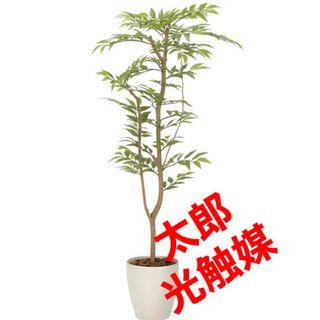 光触媒　人工観葉植物　ウォールグリーン　フェイクグリーン　ソヨゴ1.3(壁掛けミラー)