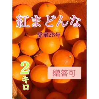 愛華28号（紅まどんな）ハウス栽培(フルーツ)