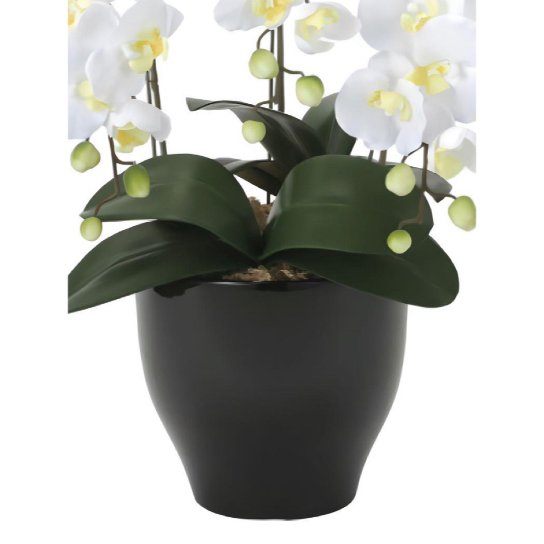 陶器光触媒　人工観葉植物　ウォールグリーン　フェイクグリーン　胡蝶蘭セリースL