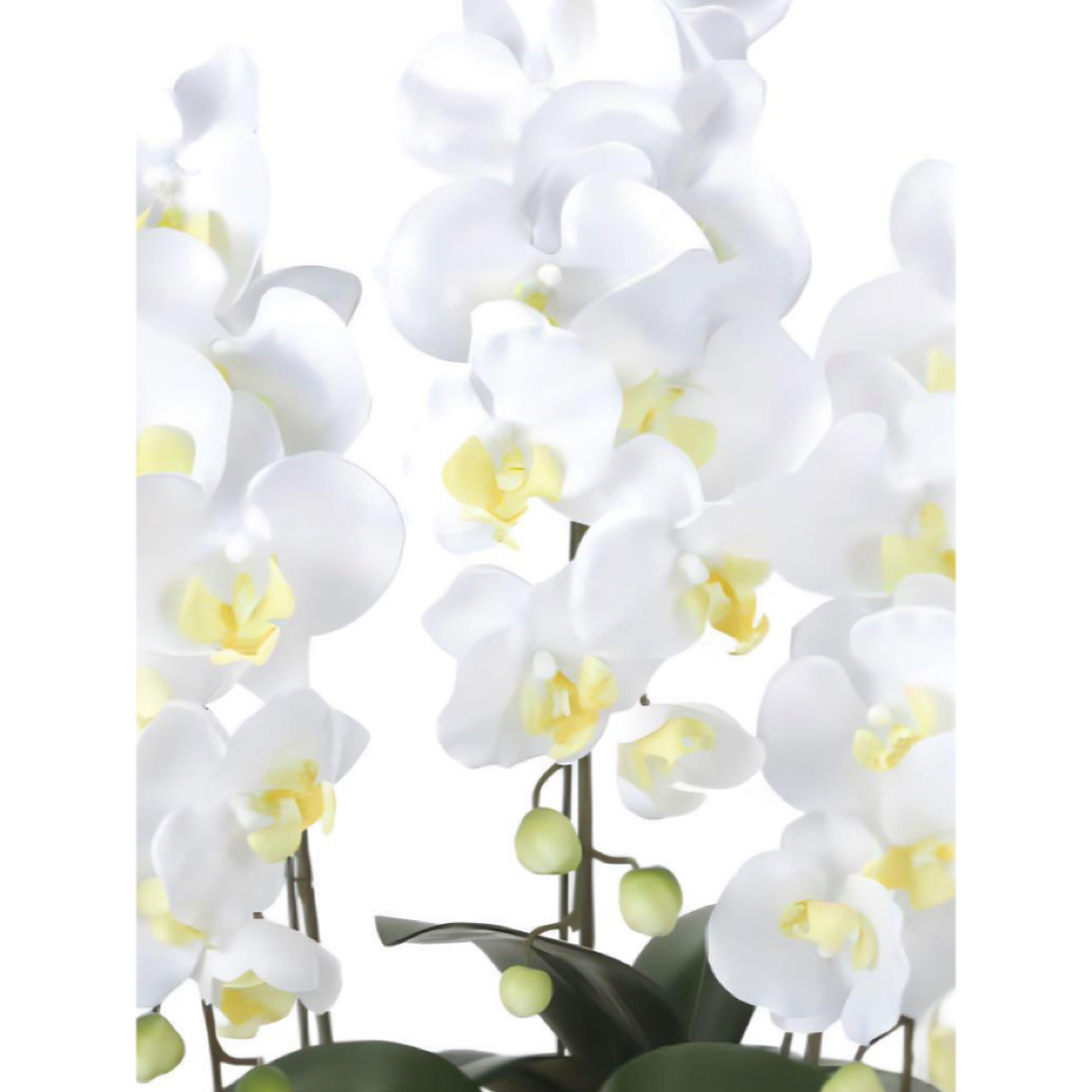 光触媒 人工観葉植物 ウォールグリーン フェイクグリーン 胡蝶蘭 光触媒 人工観葉植物 ウォールグリーン フェイクグリーン 胡蝶蘭