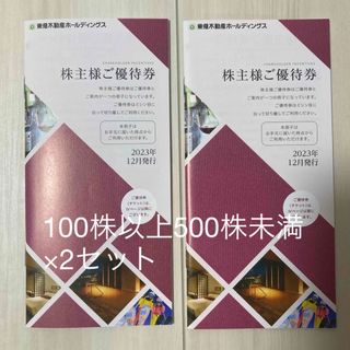 トウキュウスポーツオアシス(東急スポーツオアシス)の東急不動産ホールディングス　株主優待　100株用×2セット(フィットネスクラブ)