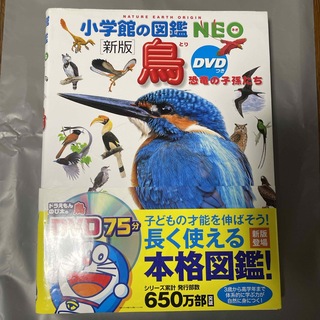 ショウガクカン(小学館)の図鑑NEO  鳥【DVD付き】(絵本/児童書)