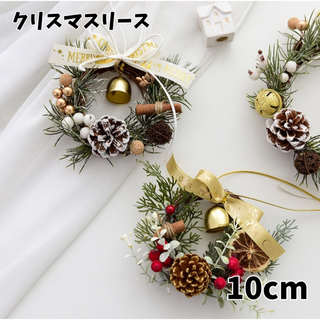 リース クリスマスリース インテリア クリスマス雑貨  造草リース 10センチ (リース)