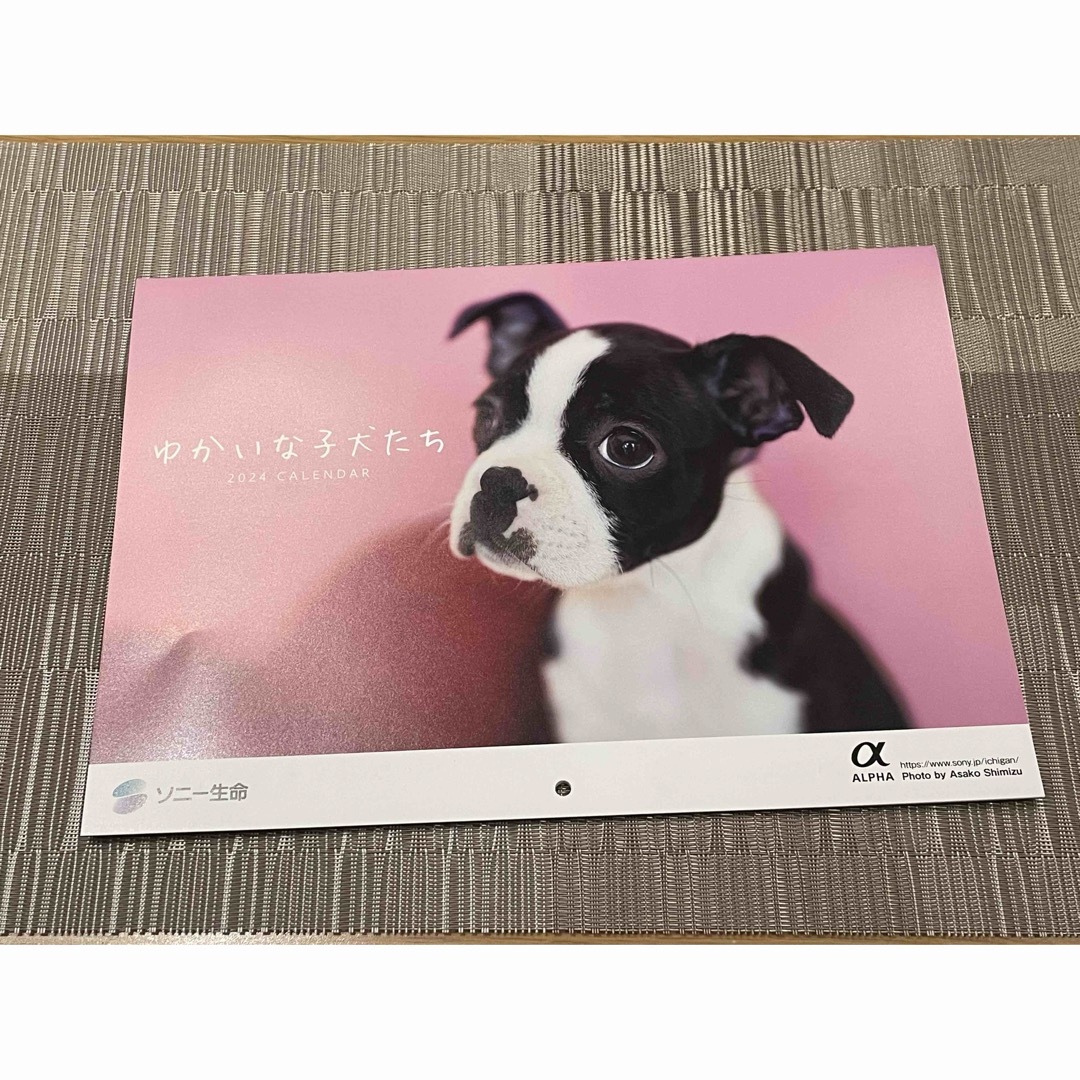 SONY(ソニー)のゆかいな子犬たち　2024 ソニー生命 インテリア/住まい/日用品の文房具(カレンダー/スケジュール)の商品写真